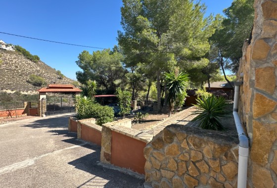 Resale - Finca - San Miguel de Salinas - Inland
