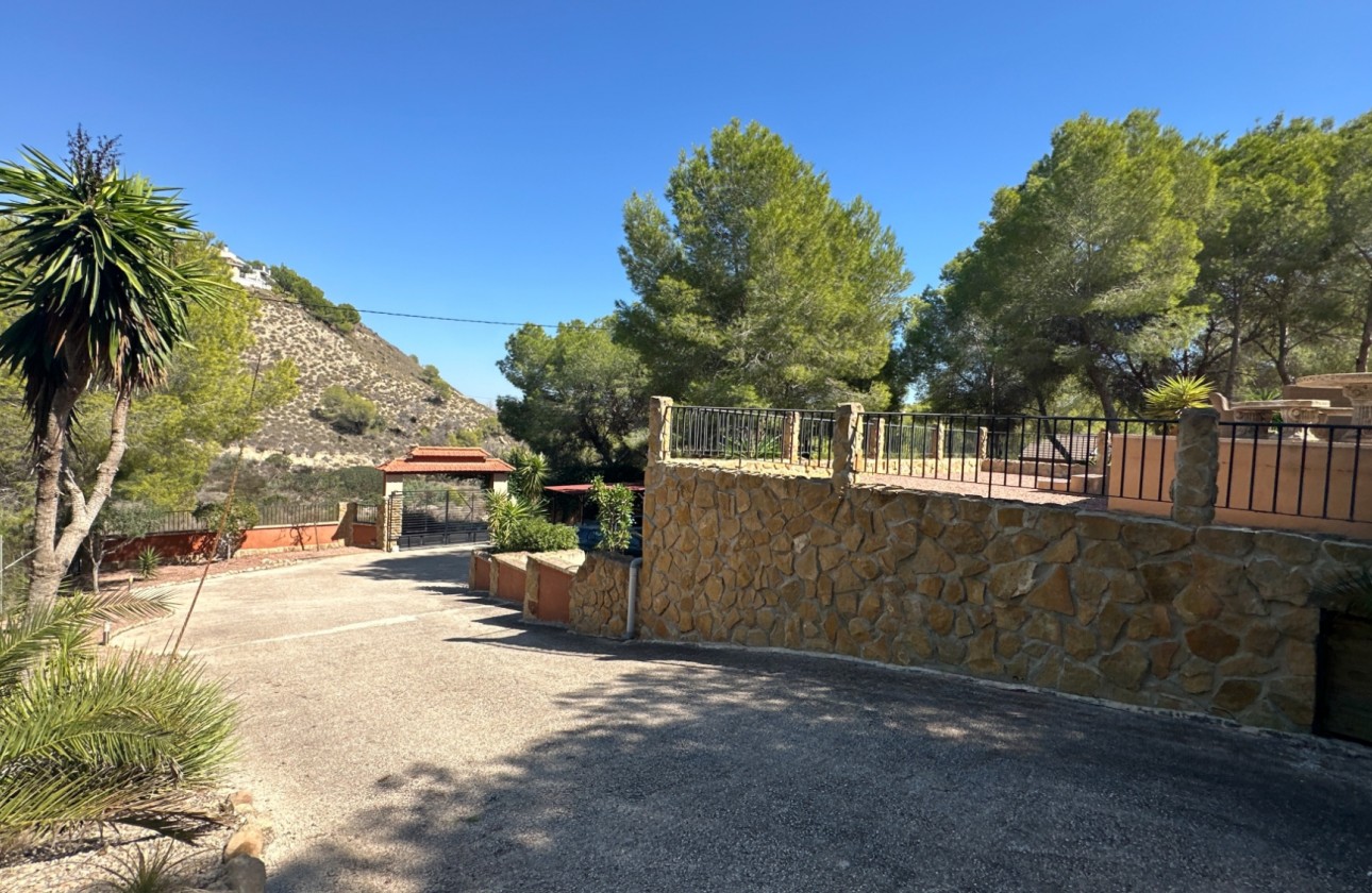 Resale - Finca - San Miguel de Salinas - Inland