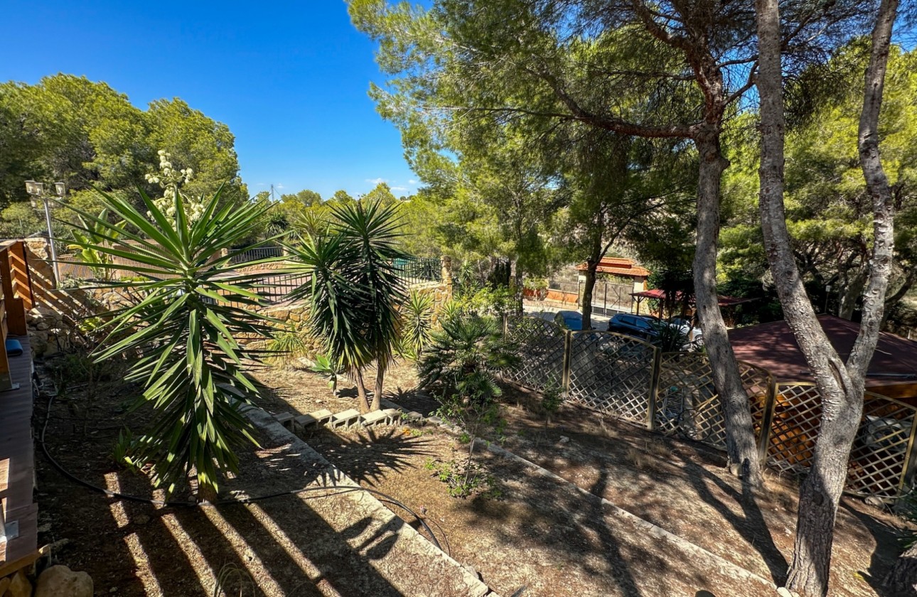 Resale - Finca - San Miguel de Salinas - Inland