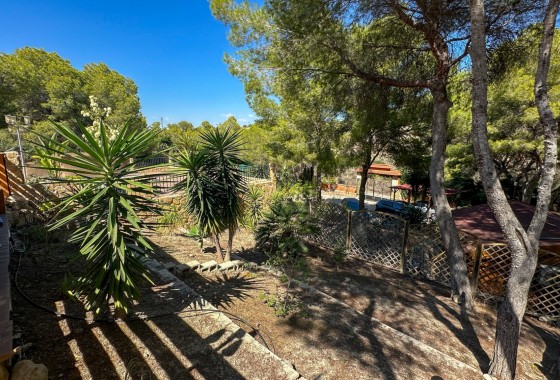 Resale - Finca - San Miguel de Salinas - Inland