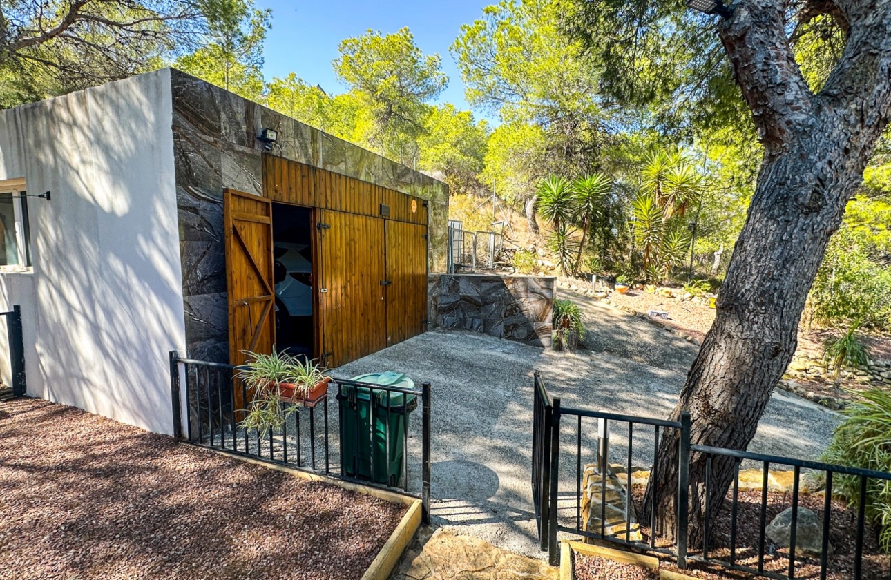 Resale - Finca - San Miguel de Salinas - Inland