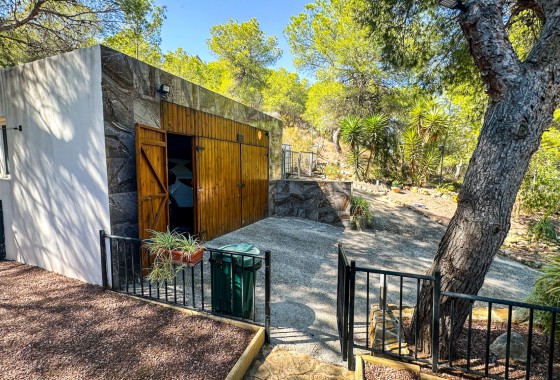 Resale - Finca - San Miguel de Salinas - Inland
