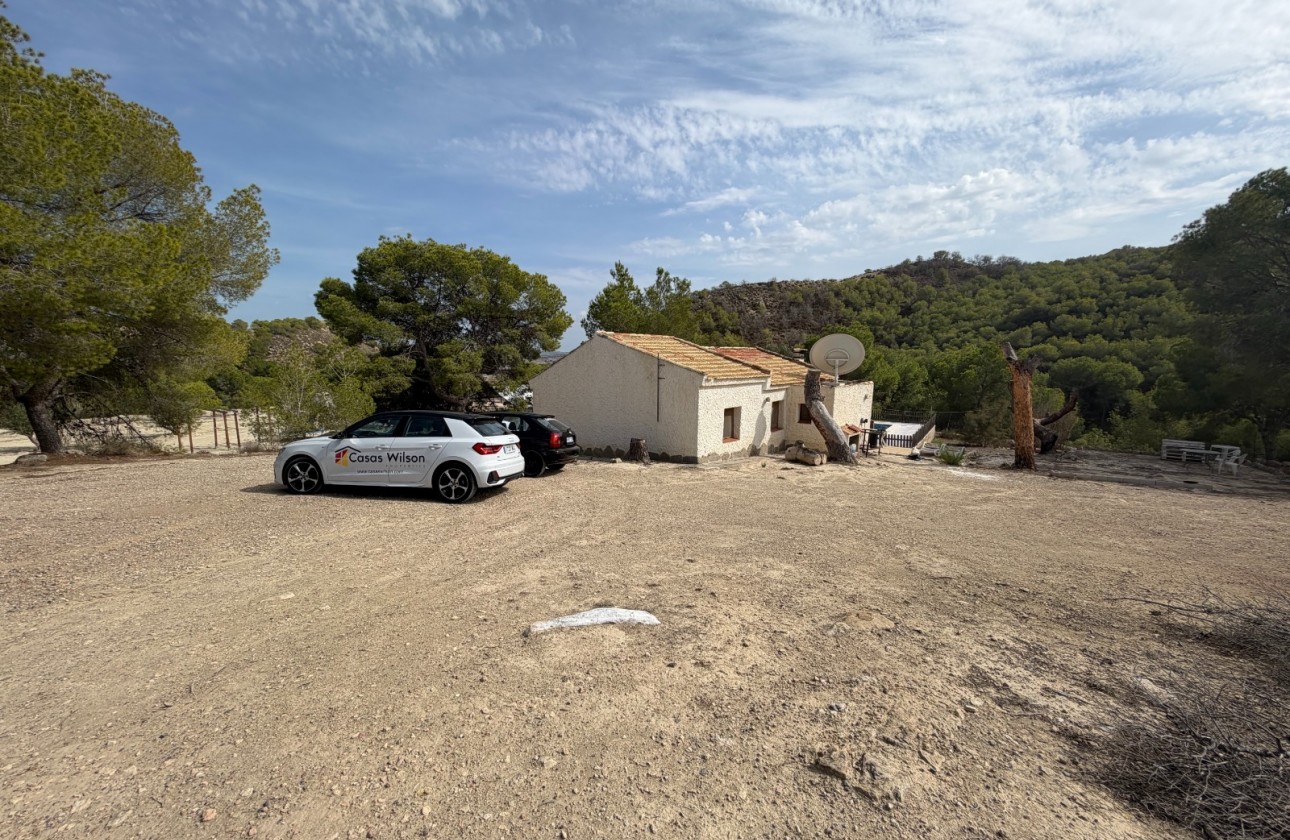 Resale - Country Property/Finca - Torremendo