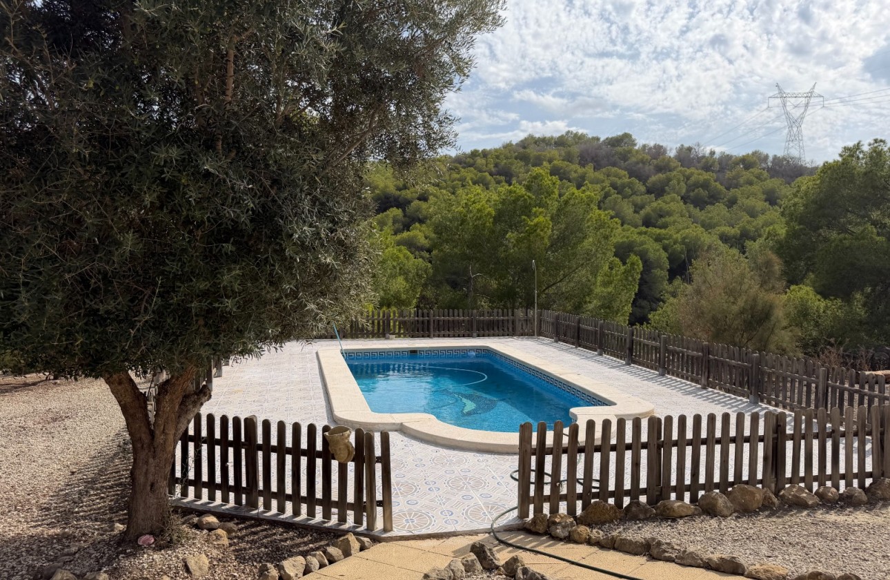 Resale - Country Property/Finca - Torremendo