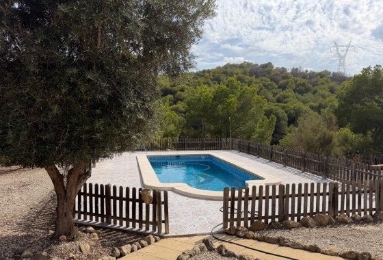 Resale - Country Property/Finca - Torremendo