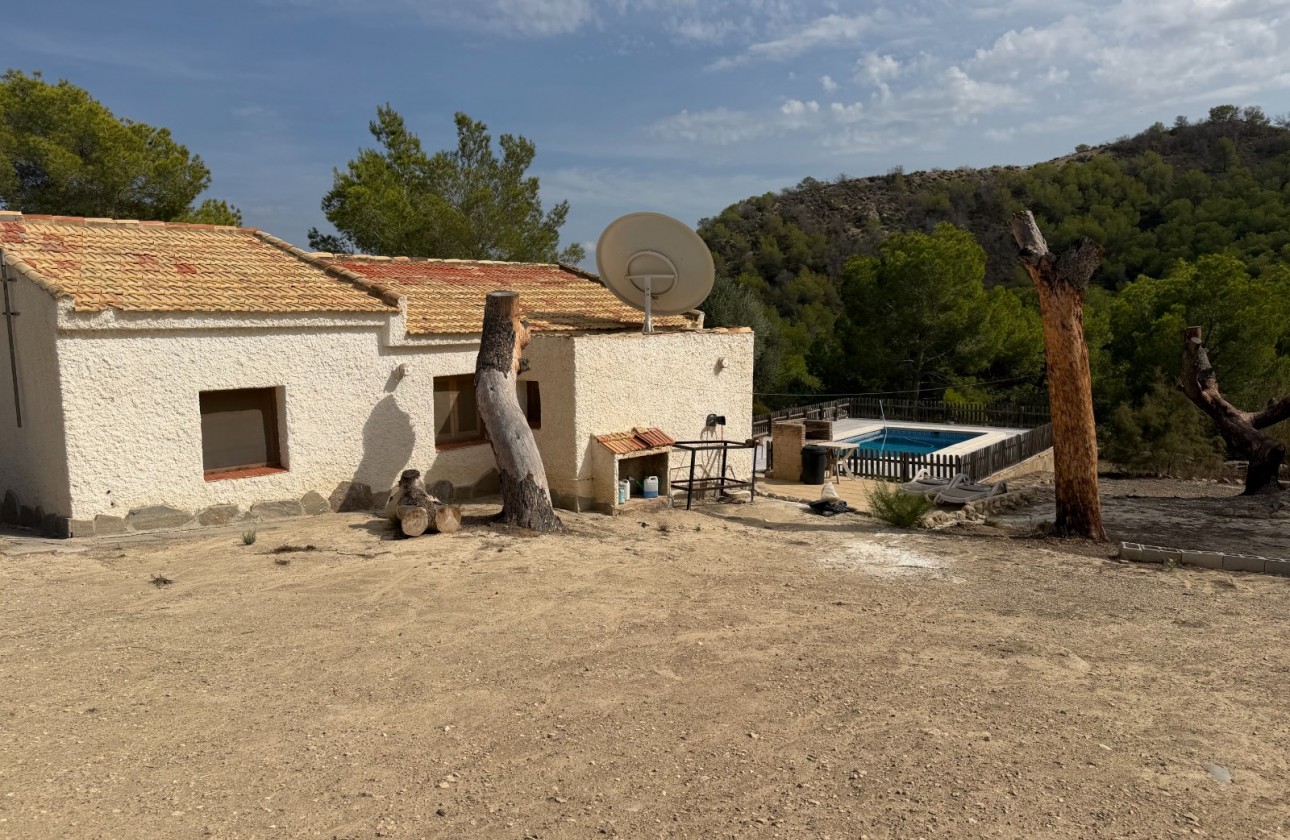 Resale - Country Property/Finca - Torremendo