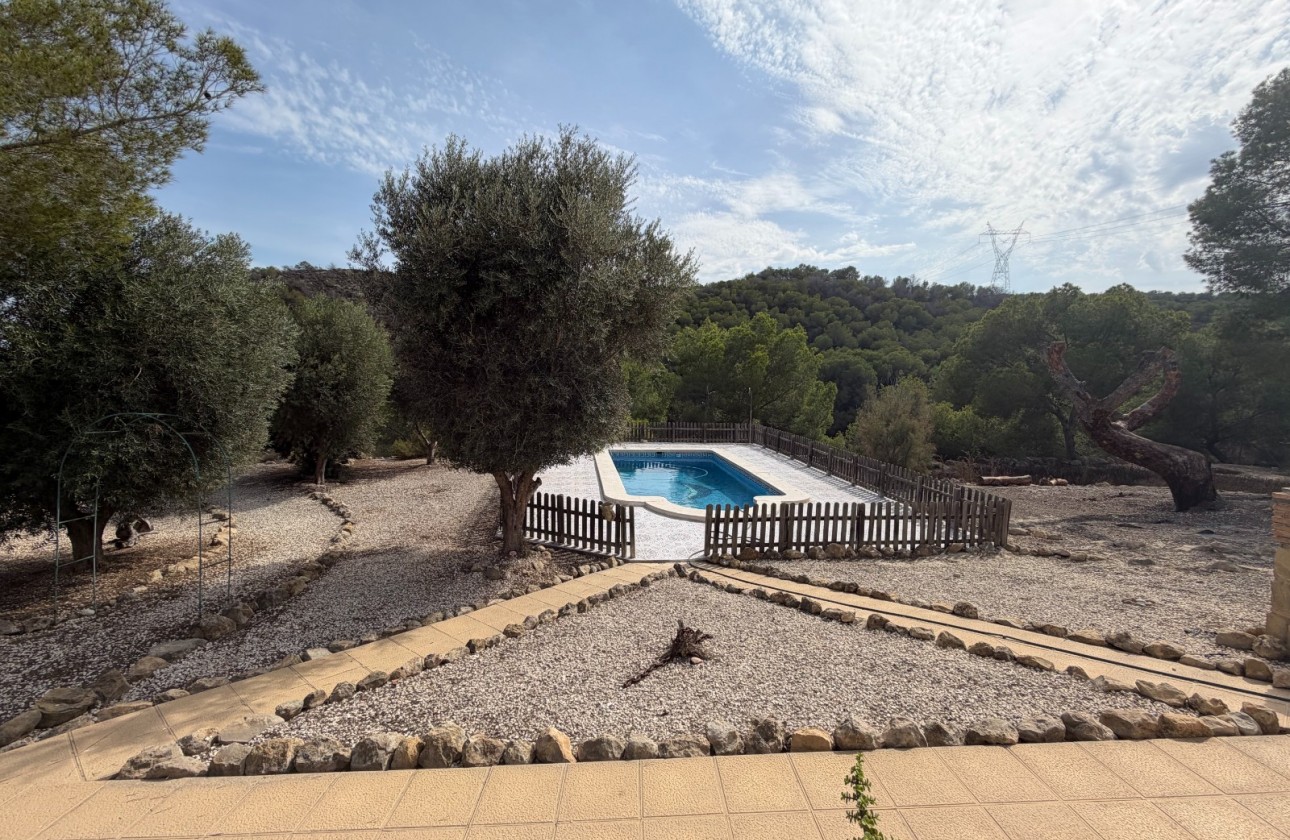 Resale - Country Property/Finca - Torremendo