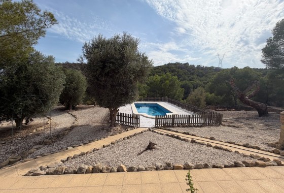Resale - Country Property/Finca - Torremendo