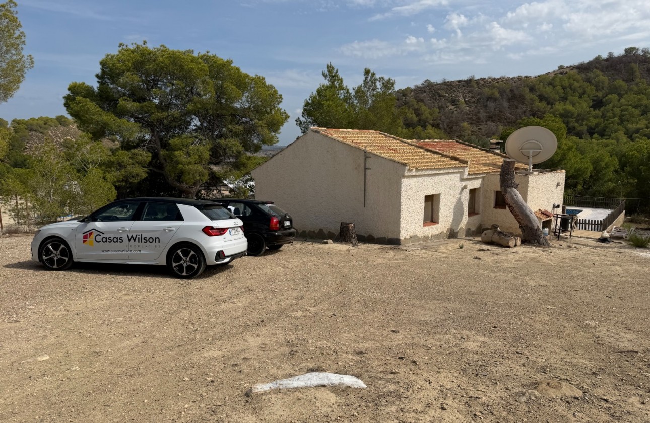 Resale - Country Property/Finca - Torremendo