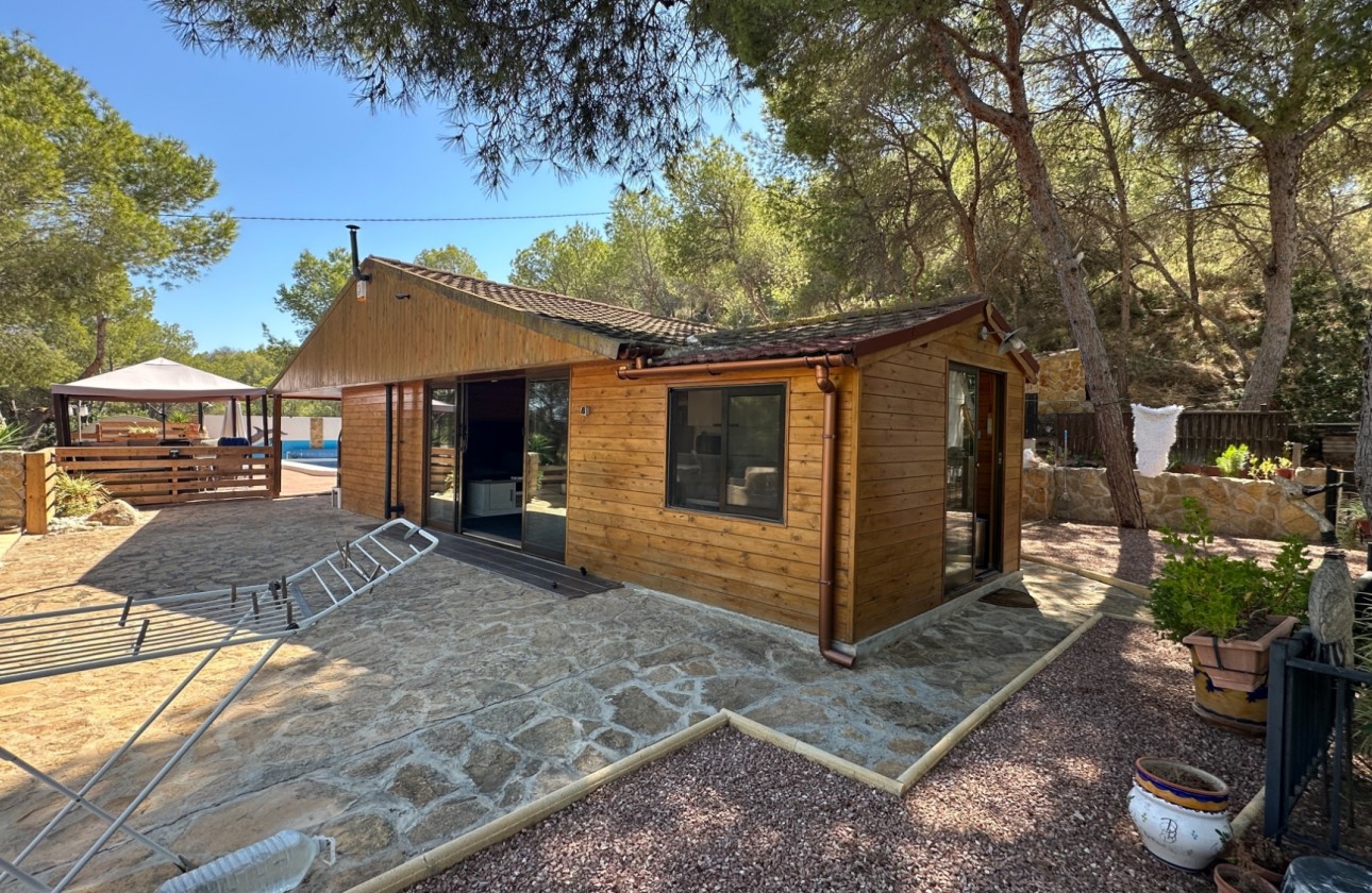 Resale - Finca - San Miguel de Salinas - Inland