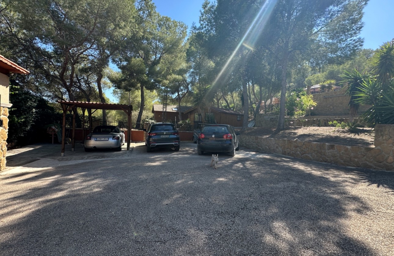 Resale - Finca - San Miguel de Salinas - Inland