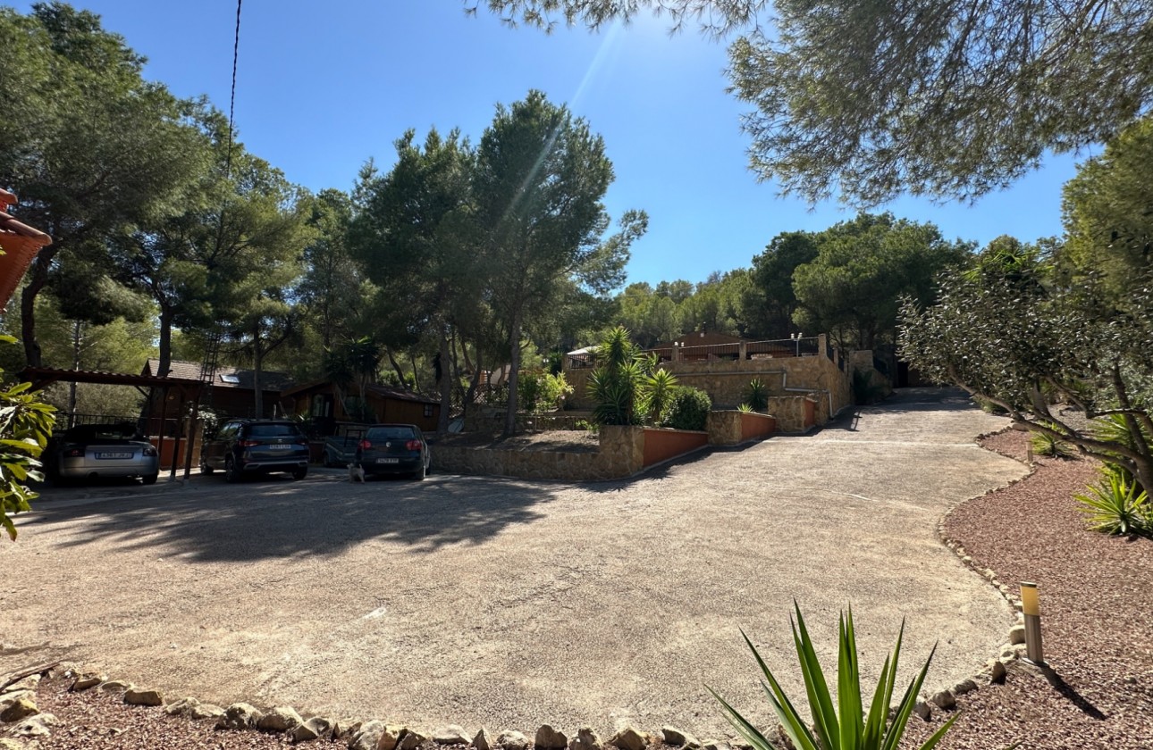 Resale - Finca - San Miguel de Salinas - Inland
