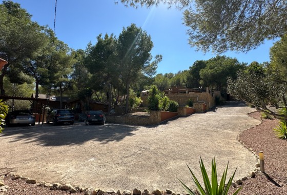 Resale - Finca - San Miguel de Salinas - Inland
