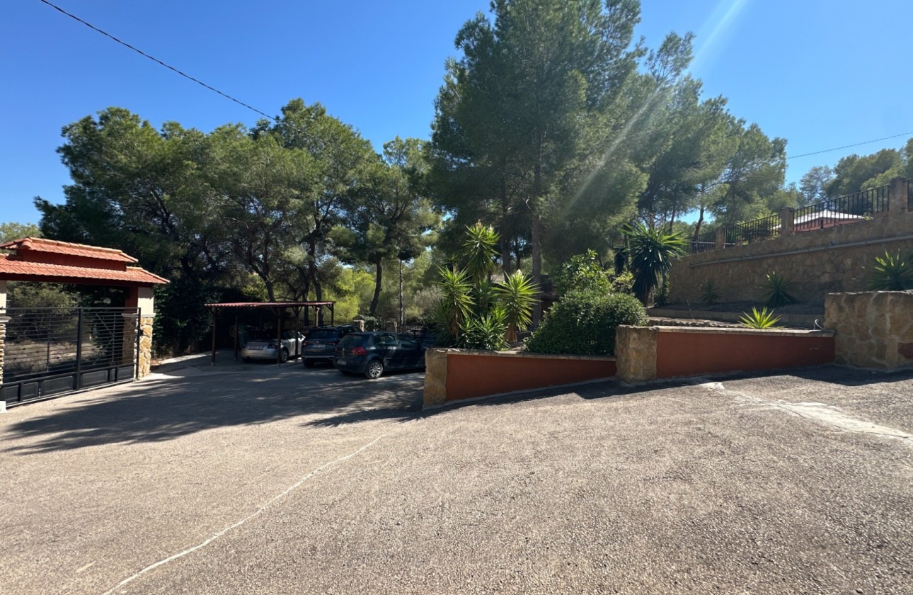 Resale - Finca - San Miguel de Salinas - Inland
