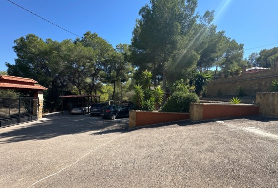Resale - Finca - San Miguel de Salinas - Inland