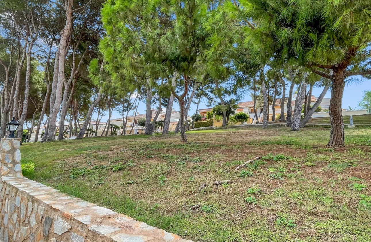 Resale - Apartment / flat - Mil Palmeras - Costa Blanca