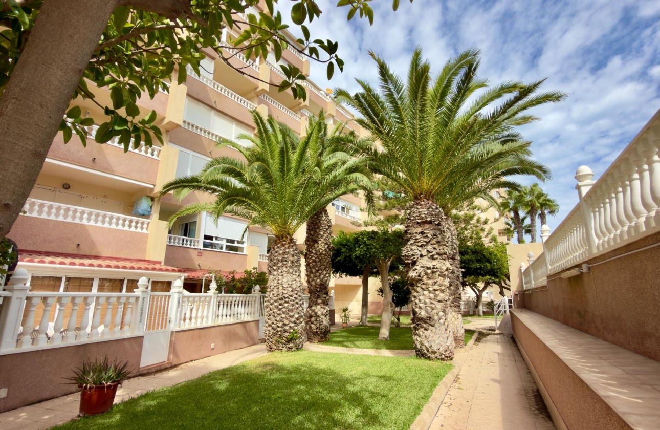Revente - Appartement - Guardamar del Segura - Urbanizaciones