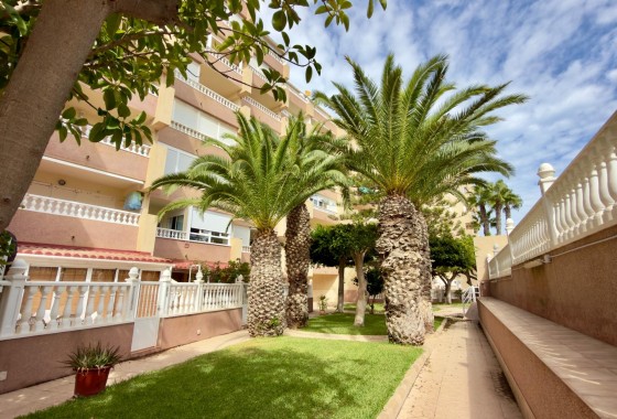 Revente - Appartement - Guardamar del Segura - Urbanizaciones
