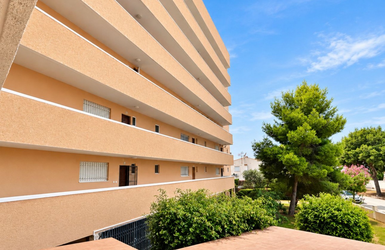 Reventa - Apartamento / piso - La Zenia - Costa Blanca