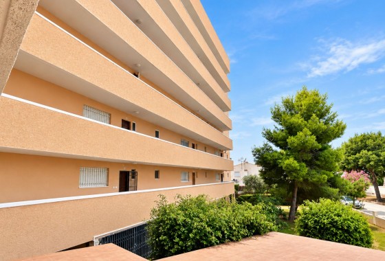 Reventa - Apartamento / piso - La Zenia - Costa Blanca