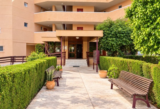 Reventa - Apartamento / piso - La Zenia - Costa Blanca