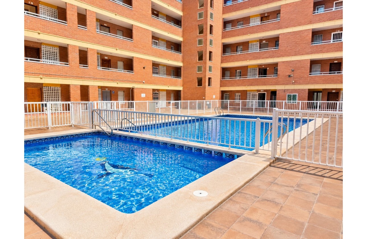 Reventa - Apartamento / piso - Torrevieja - playa de los naufragos