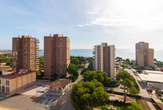 Resale - Apartment / flat - Orihuela Costa - Campoamor