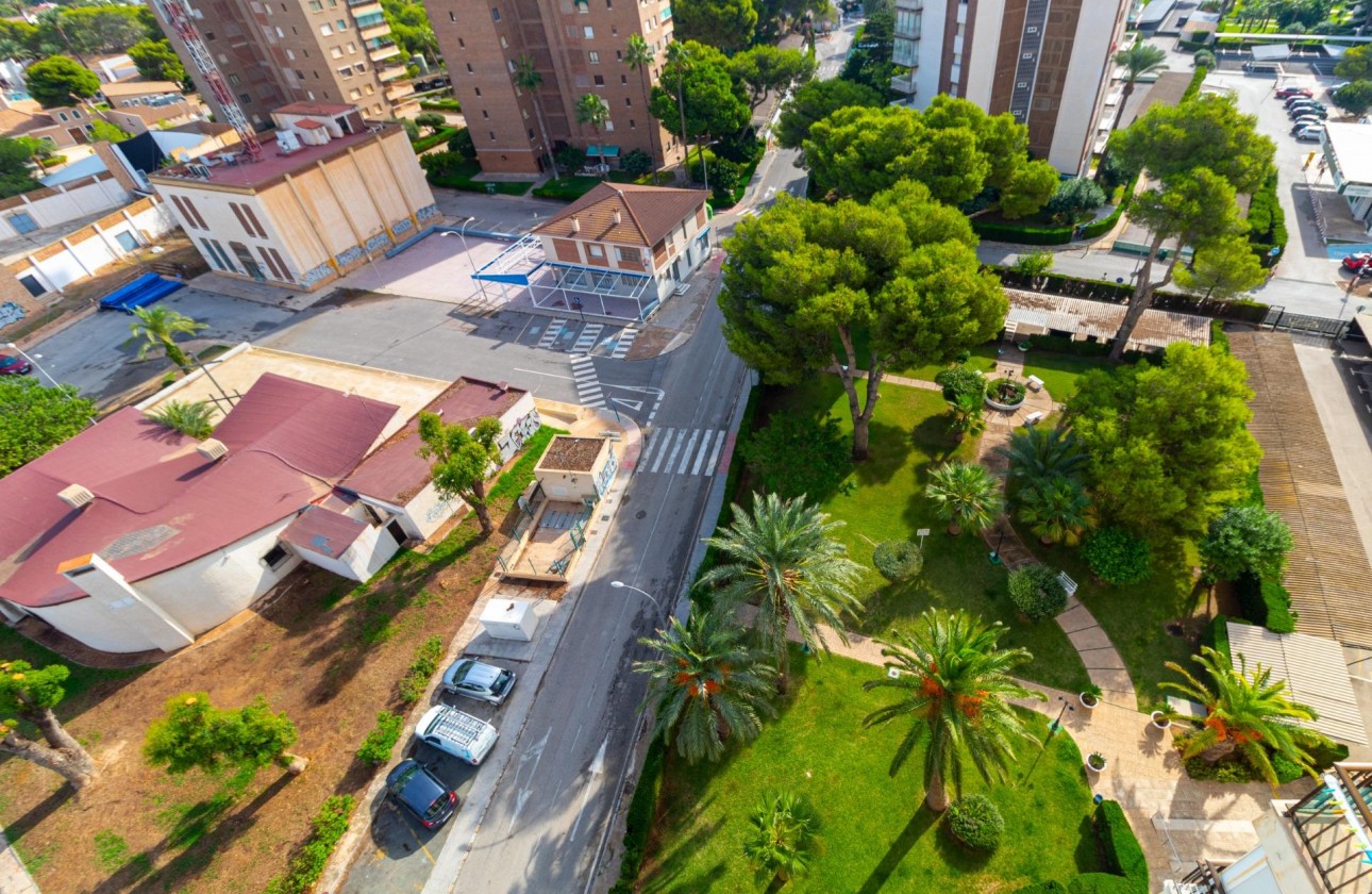 Resale - Apartment / flat - Orihuela Costa - Campoamor