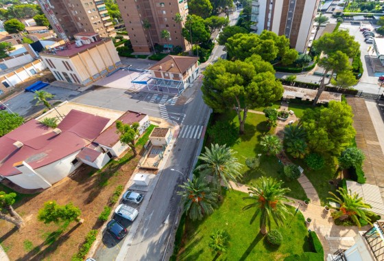 Resale - Apartment / flat - Orihuela Costa - Campoamor