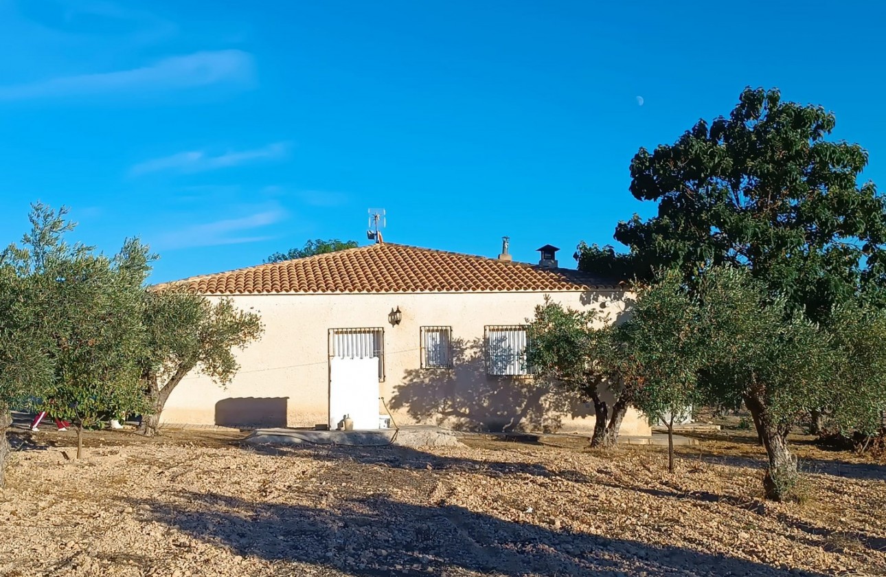 Resale - Country house - Yecla - Inland
