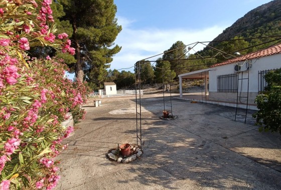 Reventa - Chalet - Yecla - Inland