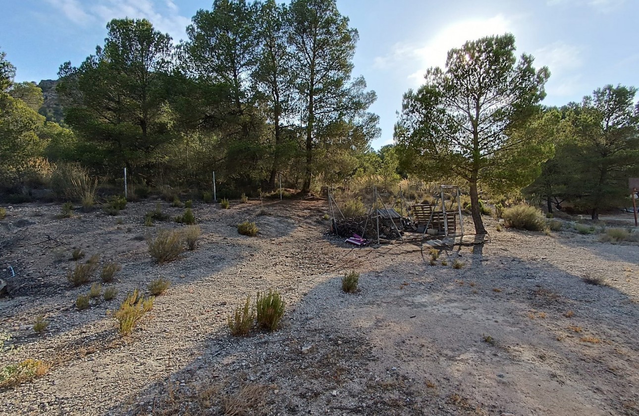 Reventa - Chalet - Yecla - Inland