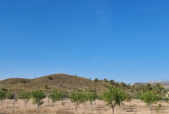Reventa - Chalet - Barinas - Inland