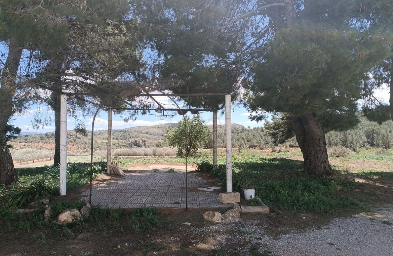 Reventa - Country house - Yecla - Inland