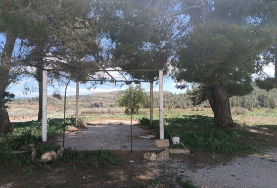 Reventa - Country house - Yecla - Inland
