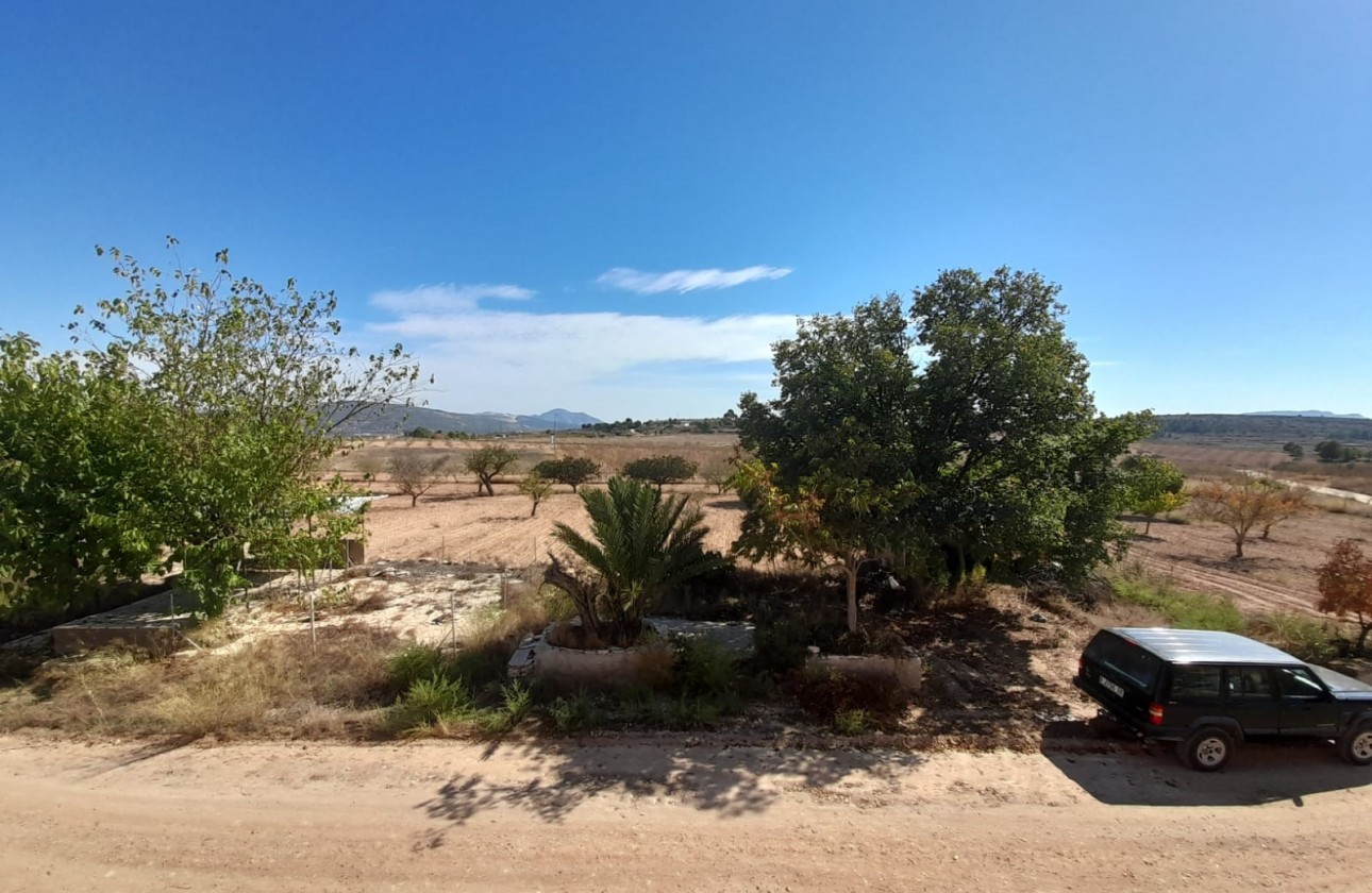 Revente - Country house - Pinoso - Inland