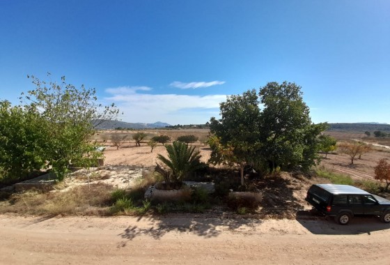 Revente - Country house - Pinoso - Inland