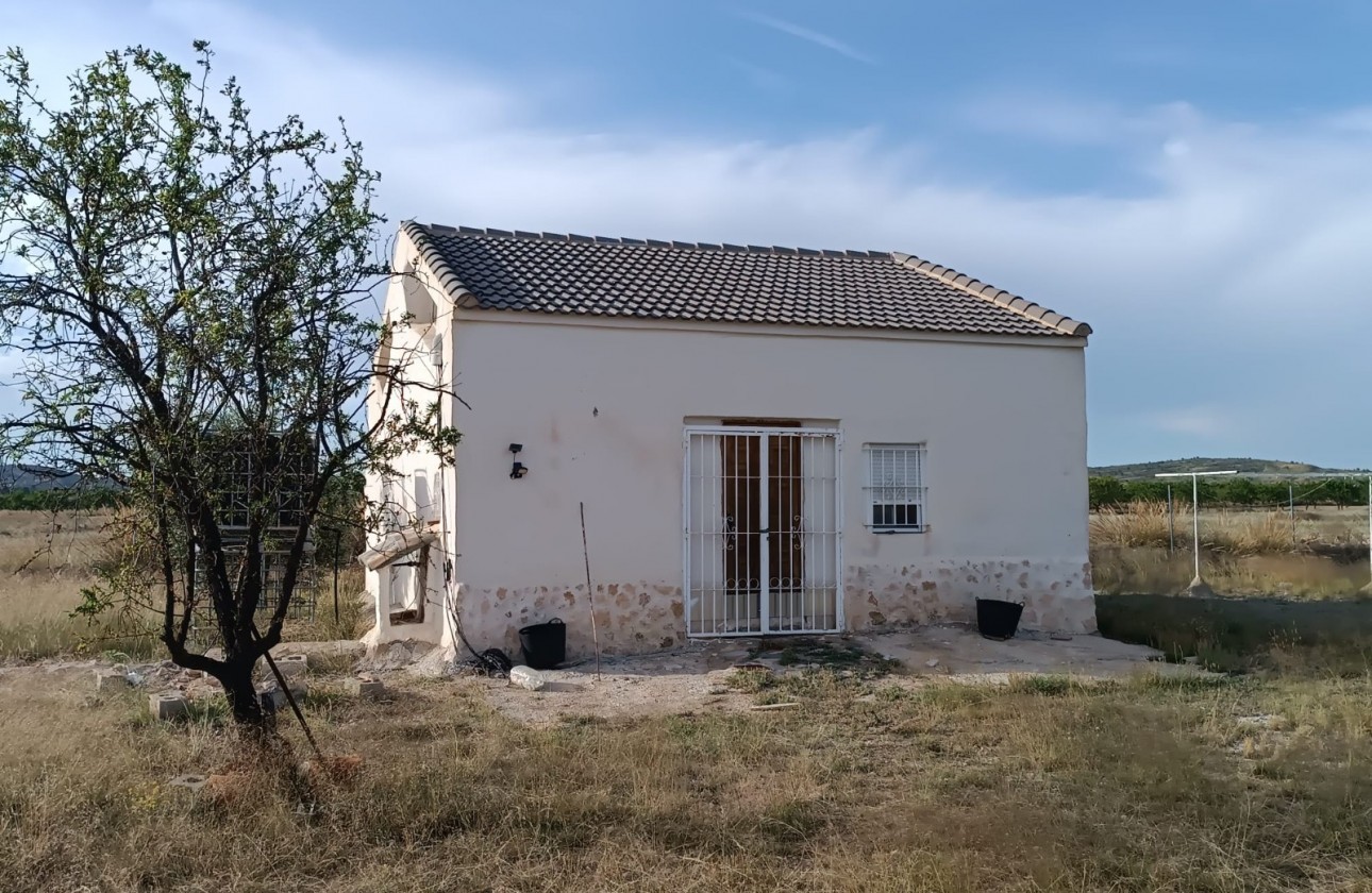 Reventa - Finca - Yecla - Inland