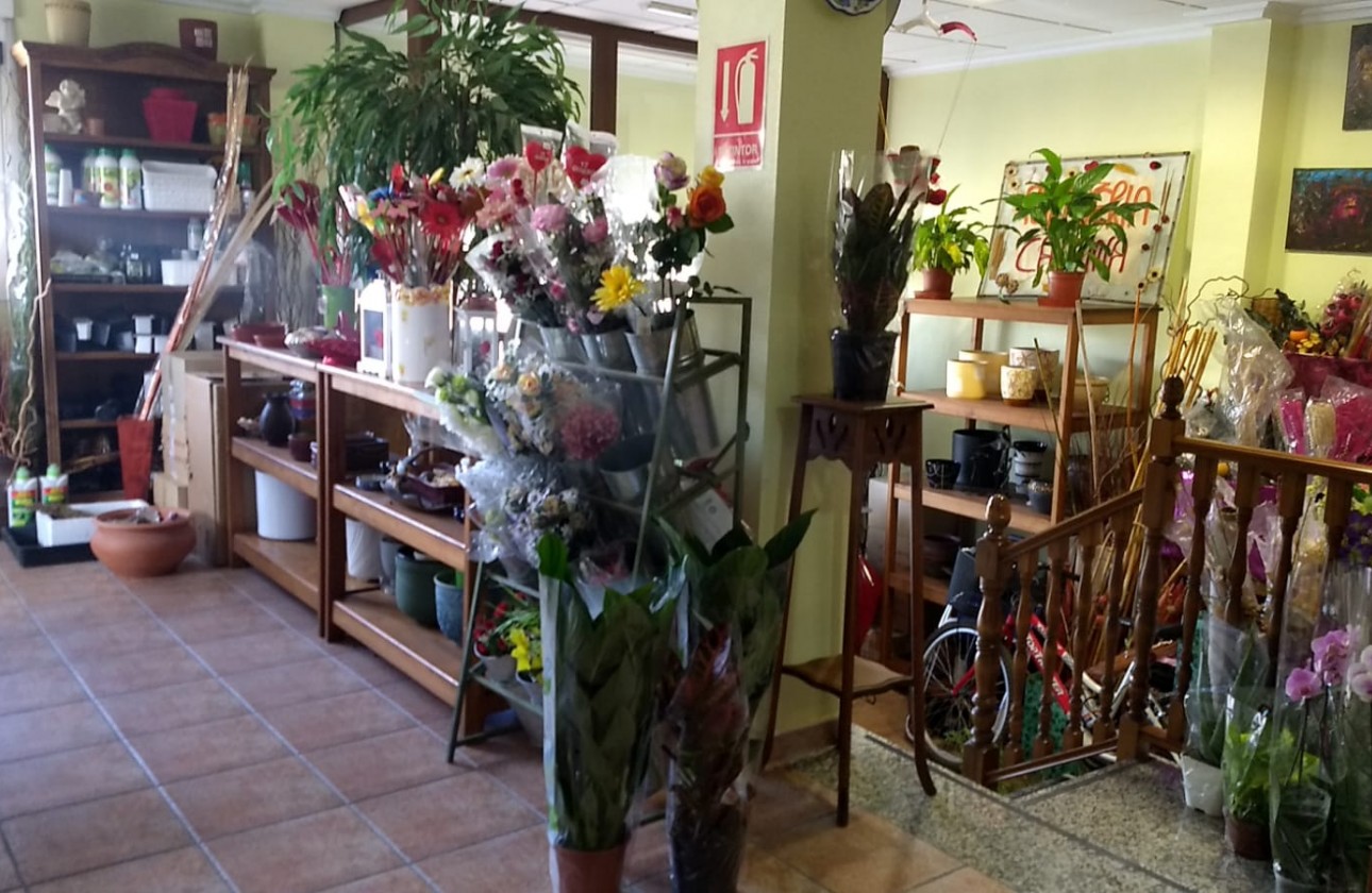 Reventa - Chalet - Pinoso - Inland