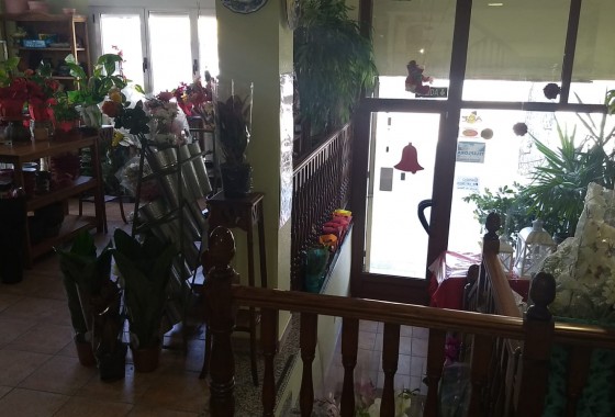 Reventa - Chalet - Pinoso - Inland