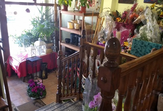 Reventa - Chalet - Pinoso - Inland