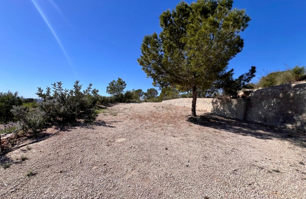 Resale - Country house - Barinas - Inland