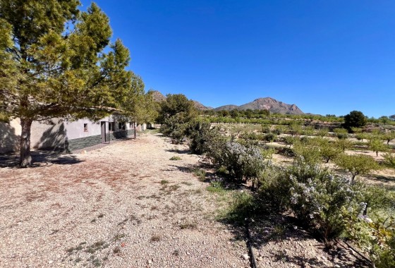 Resale - Country house - Barinas - Inland