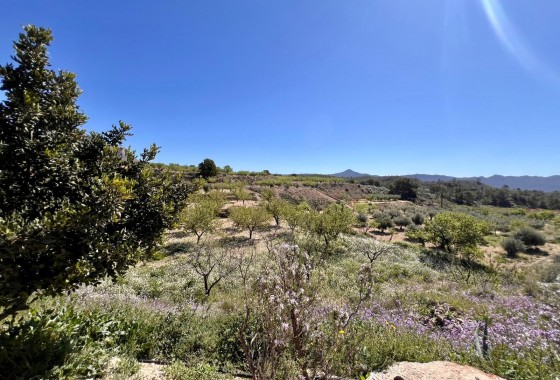 Resale - Country house - Barinas - Inland