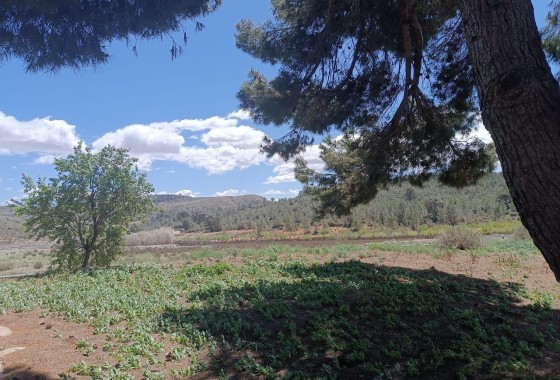 Reventa - Country house - Yecla - Inland