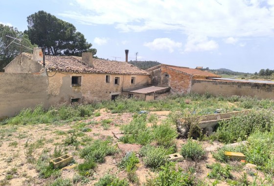 Reventa - Country house - Yecla - Inland