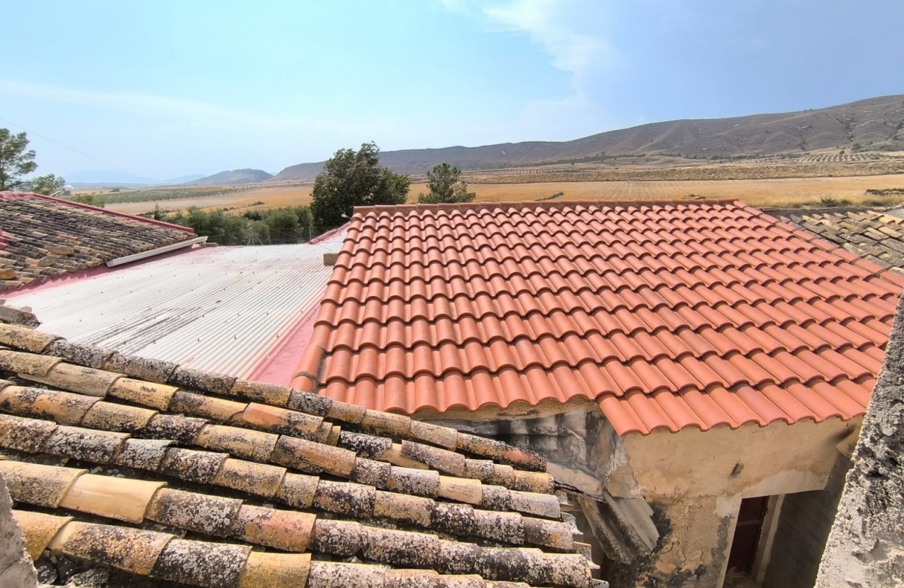 Reventa - Country house - Jumilla - Inland