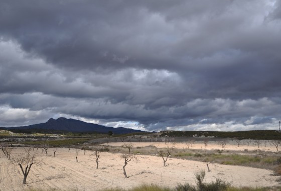 Reventa - Country house - Jumilla - Inland