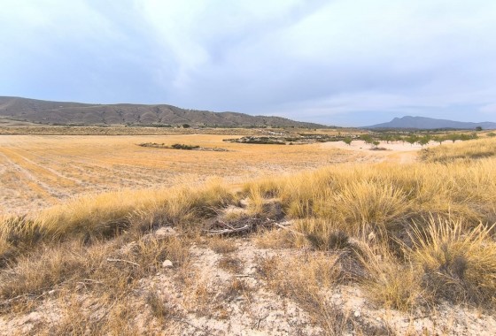 Reventa - Country house - Jumilla - Inland