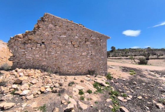 Reventa - Other - Rodriguillo - Inland